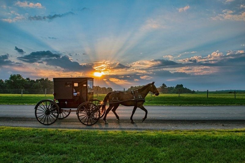 Amish wood cook stoves' history is a testament to Self-Sufficiency Amish wood cook stoves' history is a testament to Self-Sufficiency